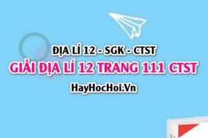 Giải Địa lí 12 trang 111 Chân trời sáng tạo SGK